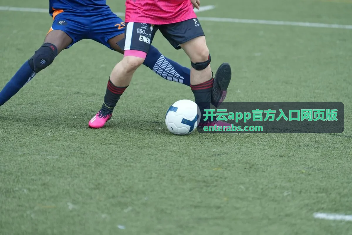 开云app官方入口网页版 下载与安装说明
